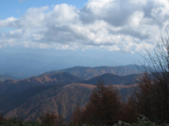 画像46